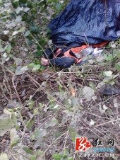 已发现 维克托-科瓦茨 