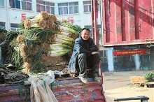 银川市北环蔬菜果品批发市场,一位大葱贩子坐在货车上等待顾客,夕阳照