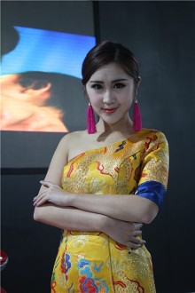 2013沈阳车展女神级车模集锦