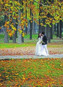 解放公园里的落叶景观成为新人拍婚纱照理想场所.记者王翮 摄