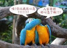 [狐诌214]<em>插</em>这么多次还<em>插不进去</em>啊【4】-笑话