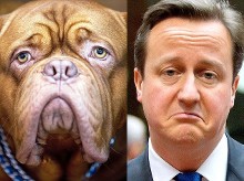 英国首相卡梅伦
