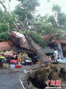 强台风"天兔"登陆广东汕尾 掀狂风暴雨(组图)