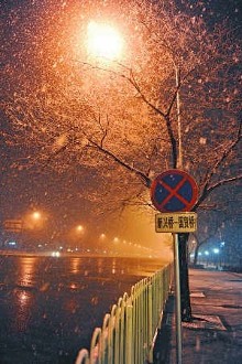 北京凌晨市区突迎春夜喜雪 京城现银装素裹(图)