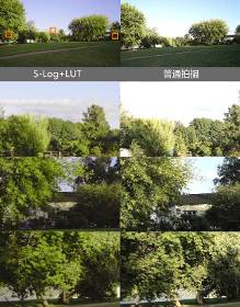 索尼A7S科普性评测 看S-Log前世今生