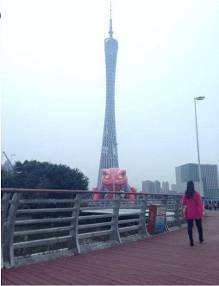 大黄鸭你好,我是大蛤蟆,要一起玩吗?-自媒体频