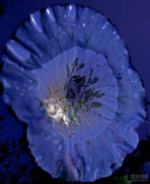 普拉提减肥瑜伽 收紧肌肉 收腹瘦大腿【2】-自