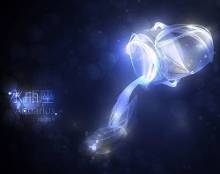 搜狐座座:天水瓶独家狮子配对星座星座与什么星座最解析图片