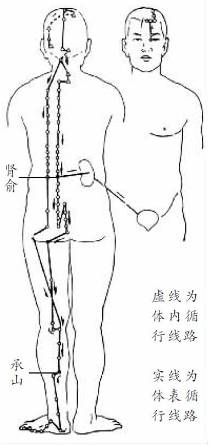 捶捶后腰解疲乏(经络养生)(图)