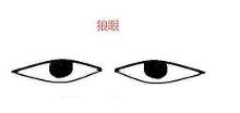 (1)羊眼   羊眼的人,眼珠是淡黑色,再星座 命理 相学 正文  大图