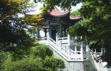 古井4A级旅游景区-黄色酒文化博物馆国家v古井图片