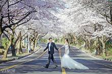 征服<em>处女座</em>的<em>婚纱照</em>啥样的?【2】-新闻频道-手