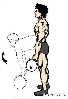 家庭<em>哑铃</em>锻炼方法、图解健身图解【7】-自媒体