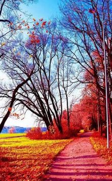 今生,用爱和岁月修行!