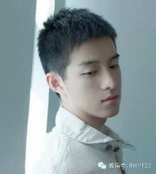 男生头发硬适合什么发型?