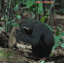 为什么叫胸器呢?看看这杀伤力!看得我也想戳一