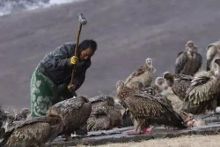 <em>一位女性</em>去西藏看<em>天葬</em>后写的感言【8】-新闻频