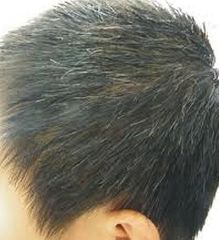 <em>为什么青少年会长白发</em>?【1】-自媒体频道-手机