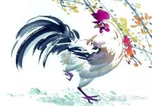 属猴和<em>属鸡</em>2015年的<em>运势</em>【2】-自媒体频道-手