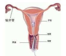<em>女性阴道</em>出血怎么回事?该怎么办?让我来告诉