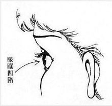 <em>女人体</em>相研究【1】-新闻频道-手机搜狐