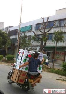 每日一笑<em>导姐叨,叨,叨</em>【笑不可挡】这媳妇太机