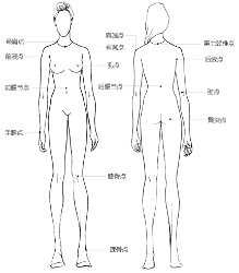杭州服装制版培训 之 服装与人体