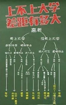 搞笑图片:这只二汪太让人羡慕了,好想睡呀