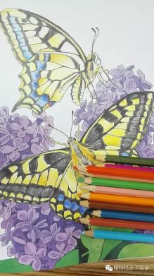 不得颈椎病又能陪孩子的涂色书才是好的涂色书