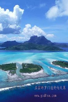 道衡向天果,正宗所罗门向天果,三高的天然克星