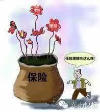 台风致车受损 你必须知道这些情况保险不赔!