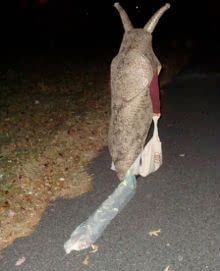 狐诌821季-美女上厕所没有纸