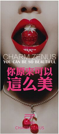 CHARM ZENUS瓷妆:魅力闪耀 你原来可以这么美【3】-新闻频道-手机搜狐