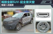 关于汽车经销商服务展11月亮相广州的硕士毕业论文范文