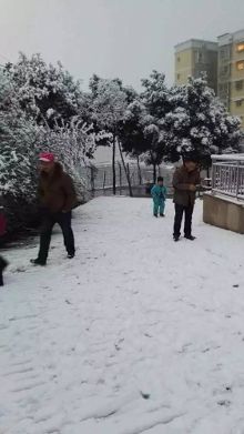 a4lm5o706251129855.jpeg