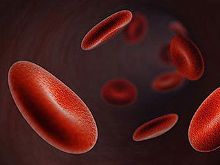 一张血常规竟能查出多种血液病!