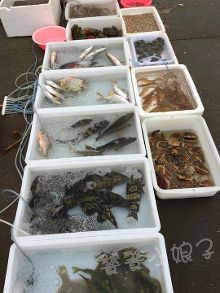 在深圳吃又便宜又好的海鲜该怎么吃【3】-新闻