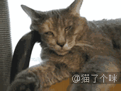 小图 我是谁,我在哪