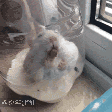 狐诌1407季-哪来的妖艳货敢勾引我-笑话频道-手机搜狐