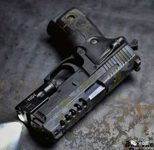 【精准便携】西格绍尔P229手枪