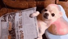 553-笑话频道-手机搜狐