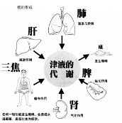 一个<em>小偏方</em>解决你的脱发问题:一味茯苓饮-新闻