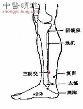 穴位定位 三阴交 小腿内侧,当足内踝尖上10厘米,胫骨内侧缘后方.