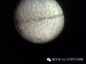 其特点如古人形容该类宋官窑瓷汽泡时所说的"聚沫攒珠"形态,放大镜下
