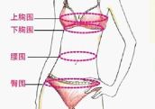 <em>胸罩文胸</em>尺码表(组图)_<em>文胸</em>尺码表_汽车_内蒙