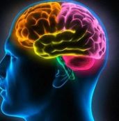 国外研究表明色情片看得太多会大脑萎缩 导致