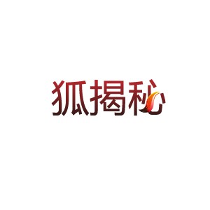 狐揭秘:巴沙尔的