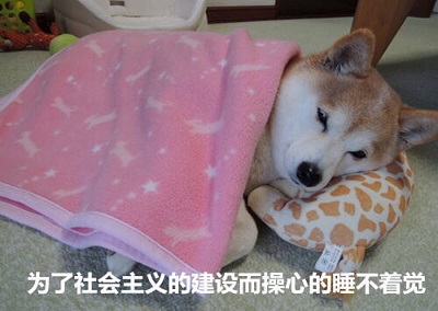 神吐槽:冯轲没搞定丈母娘咋娶张靓颖
