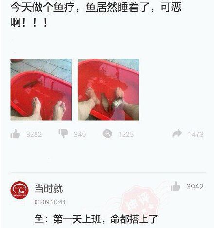 狐诌1034季-听说最近很流行A4腰