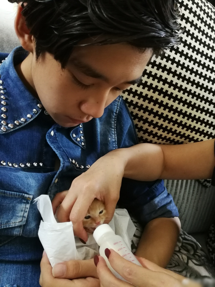 何晴与儿子 a3gpbs98531440471405.jpg?_once_=000033_picssize_orgv1